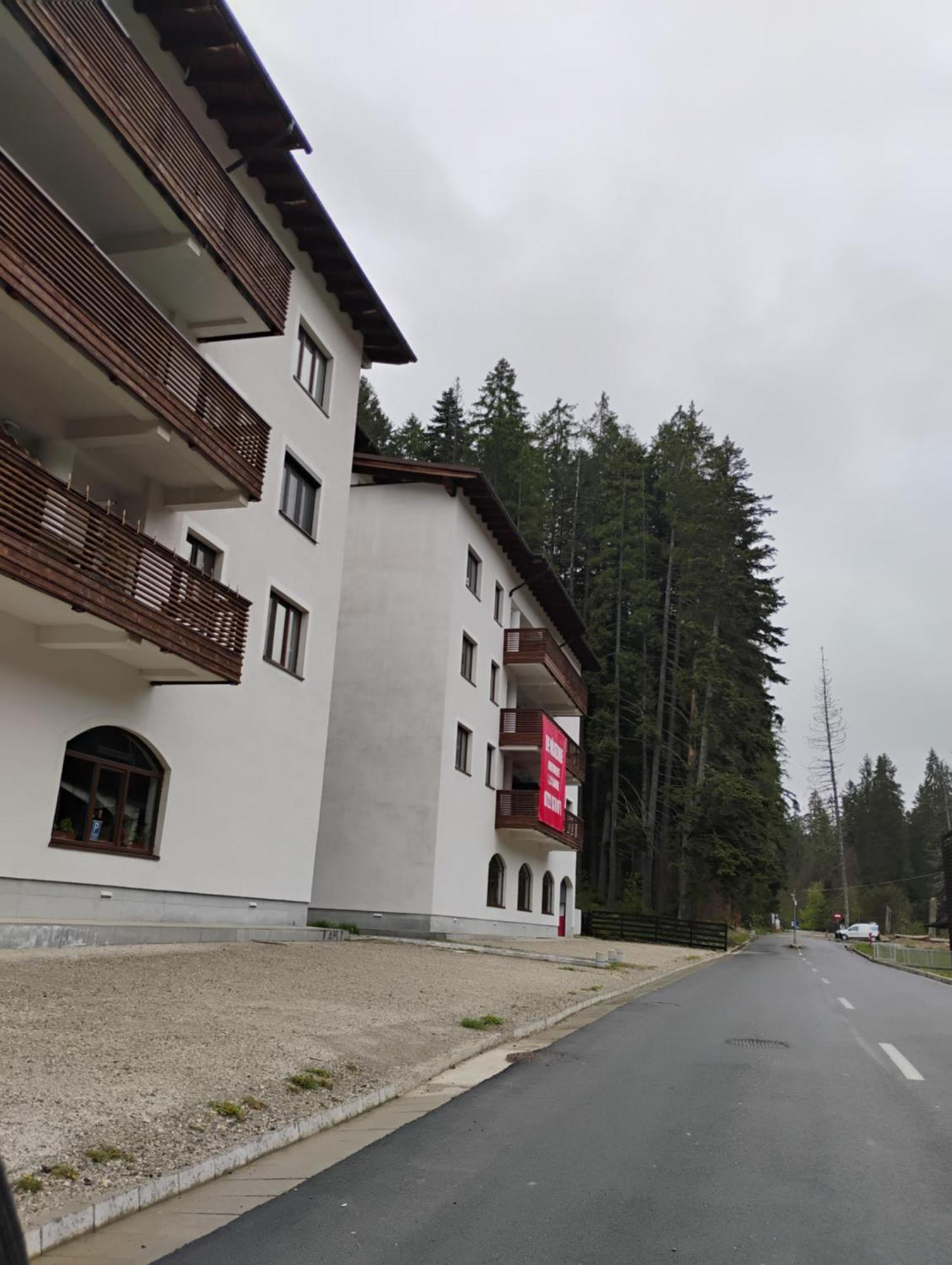 Forest Oasis Studio - Free Netflix And Disney Plus Predeal Dış mekan fotoğraf